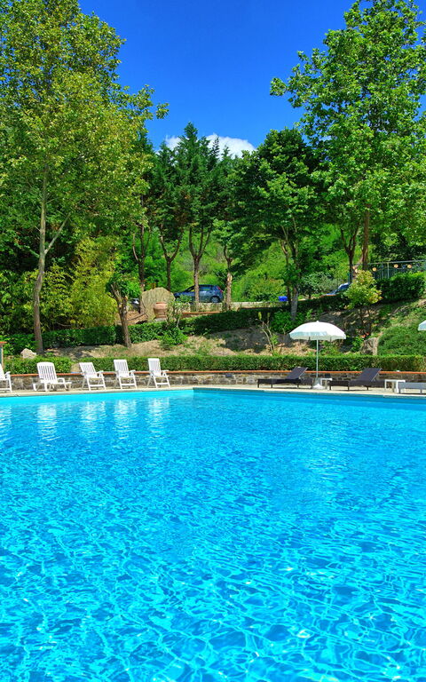 Villa Contessa: bassin