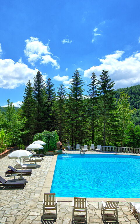 Villa Contessa: bassin