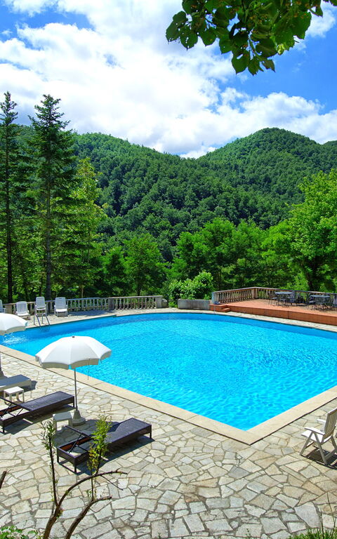 Villa Contessa: bassin, Jardin