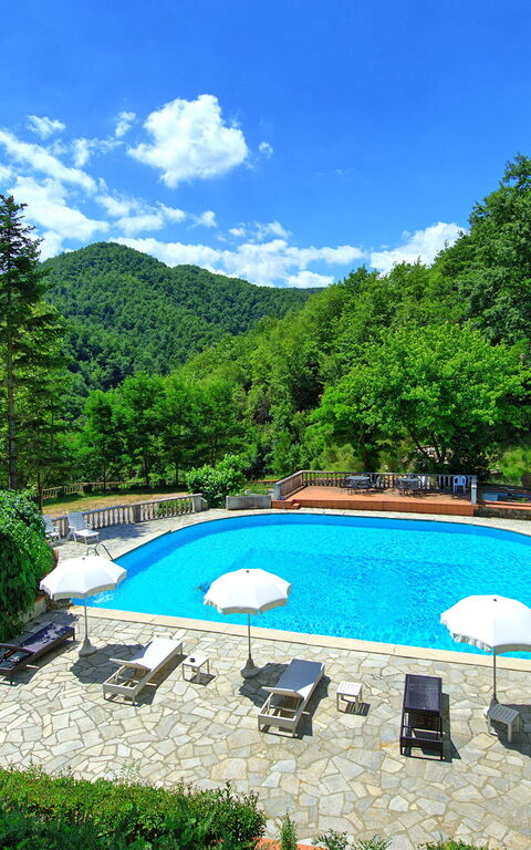 Villa Contessa: bassin