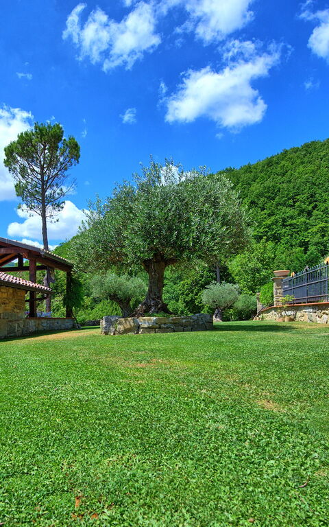 Villa Contessa: Jardin
