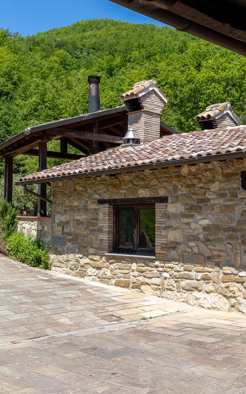 Villa Contessa: Extérieur, Extérieurs, Jardin