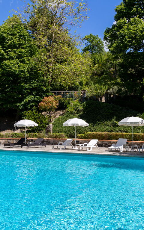 Villa Contessa: bassin