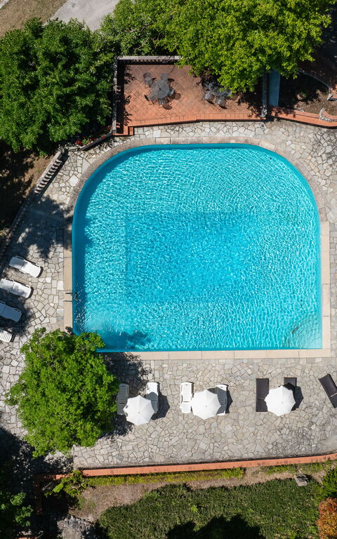 Villa Contessa: bassin