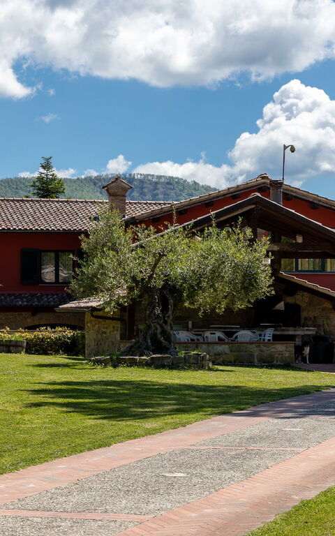 Villa Contessa: Extérieur, Extérieurs, Jardin