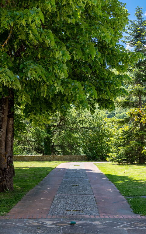 Villa Contessa: Extérieur, Jardin