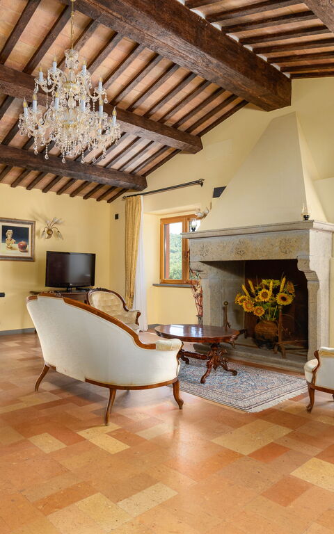 Villa Contessa: Salon