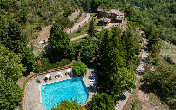 Villa Contessa: bassin