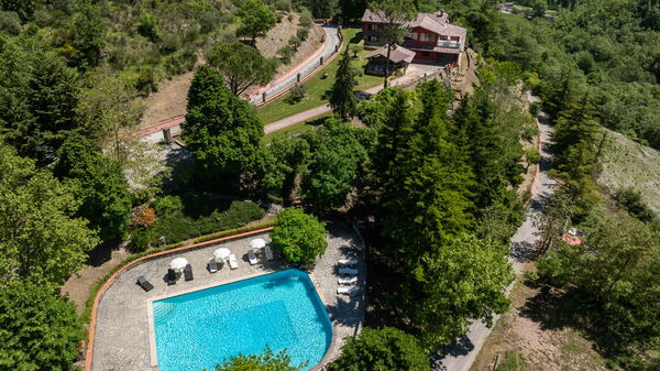 Villa Contessa: bassin
