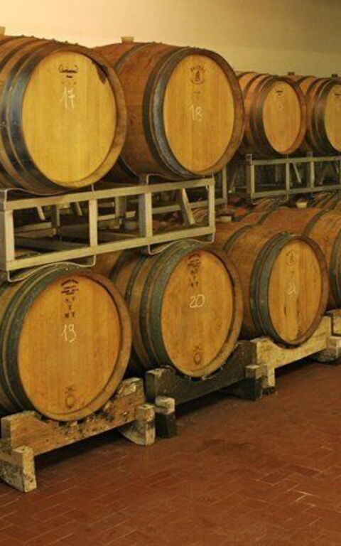 La Selva: Installations