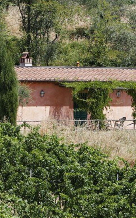 La Selva: Extérieur, Jardin