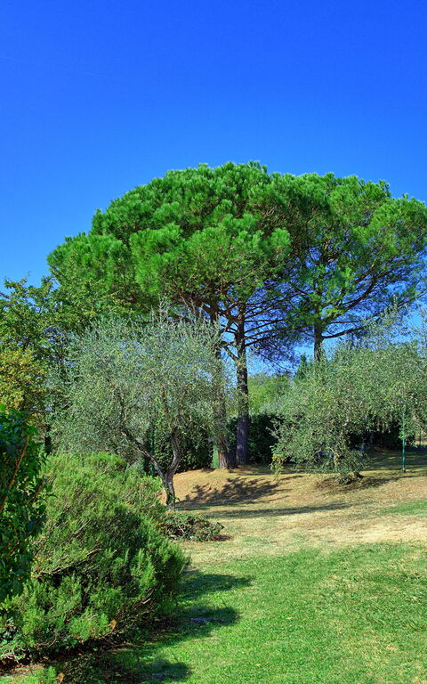 La Selva: Jardin