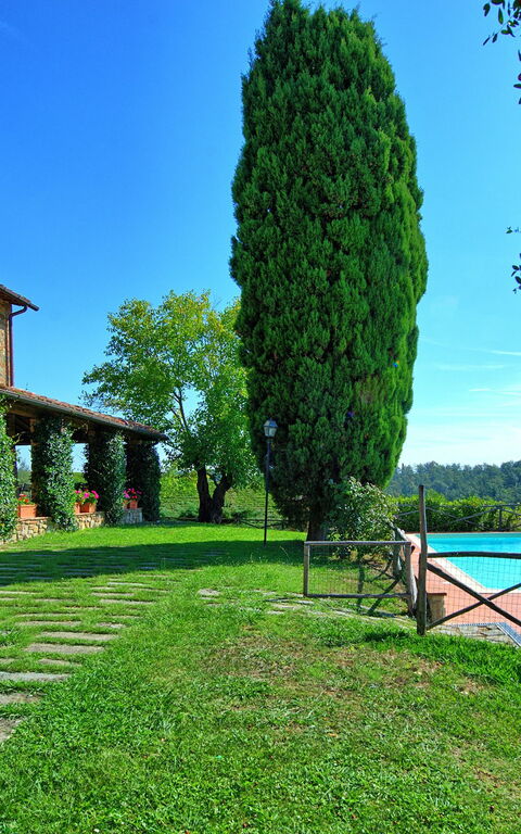 Il Frantoio: Extérieurs, Jardin