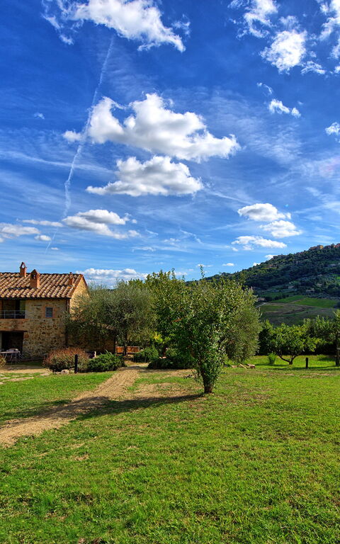 Brunello: Jardin