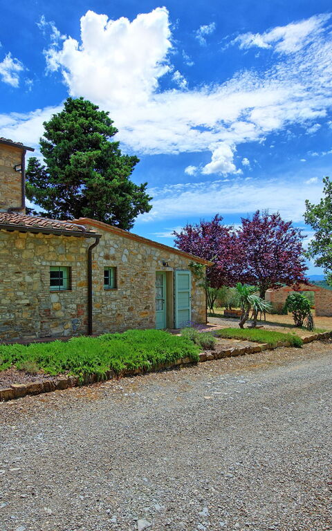 San Donato: Extérieur, Jardin