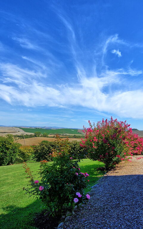 San Donnino: Extérieur, Jardin