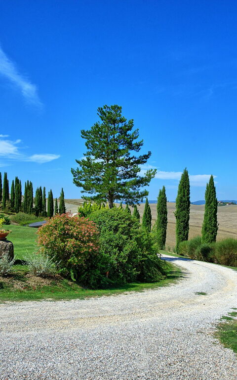 San Donnino: Extérieur, Jardin