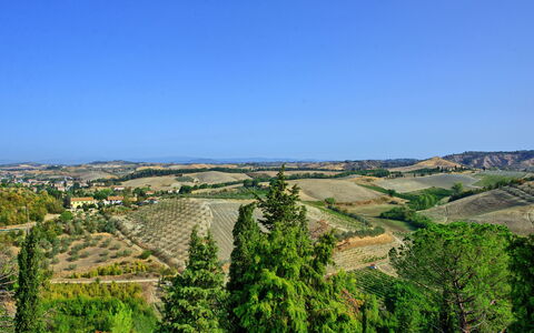 Logement Certaldo 2: Vues