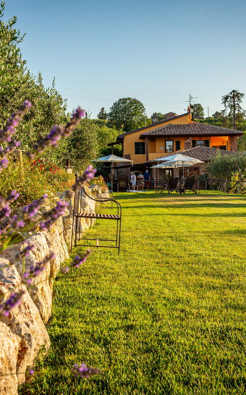Villa Amadeo: Extérieur, Extérieurs, Jardin