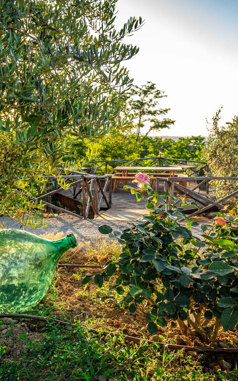 Villa Amadeo: Extérieur, Extérieurs, Jardin