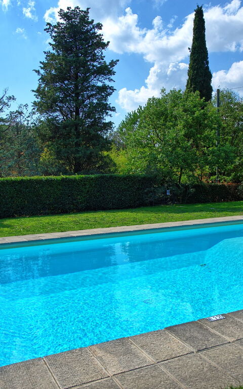 Villa Elisa: bassin
