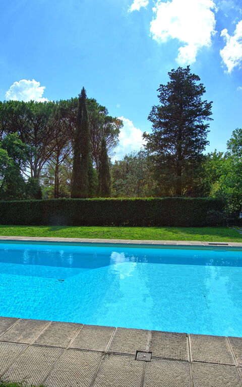 Villa Elisa: bassin