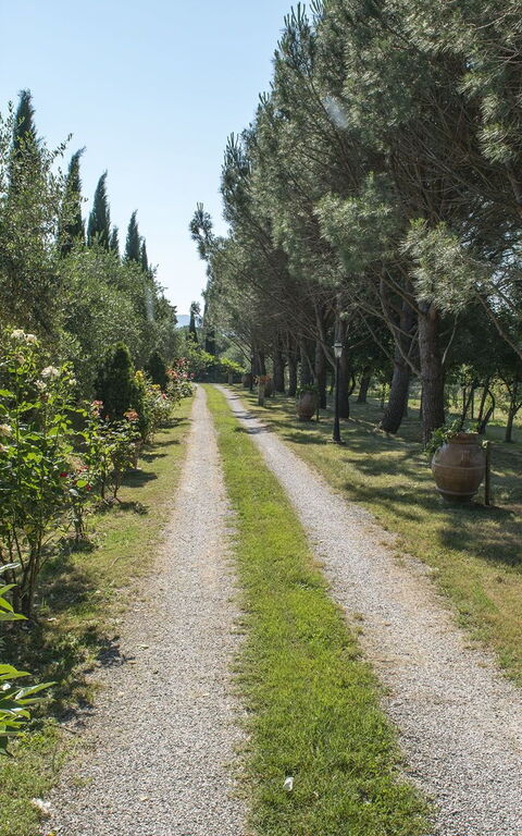 Villa Elisa: Jardin