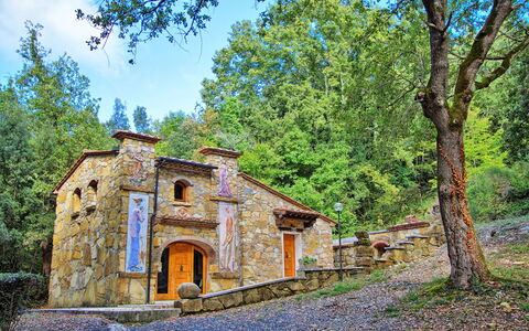 Logement Adamo Ed Eva: Extérieurs, Jardin