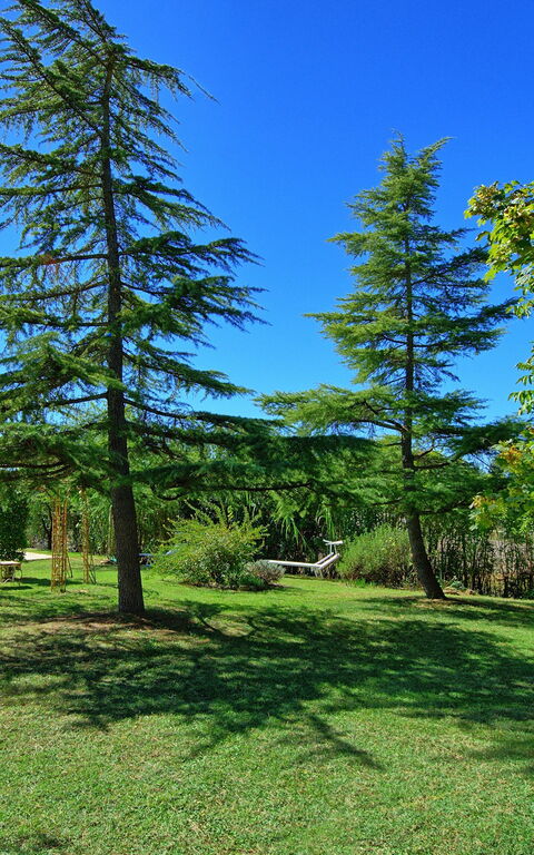 Casa Cipressi: Jardin