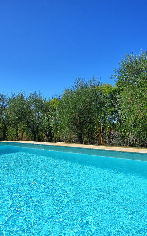 Casa Cipressi: bassin