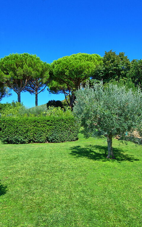 Villa Le Murate: Jardin