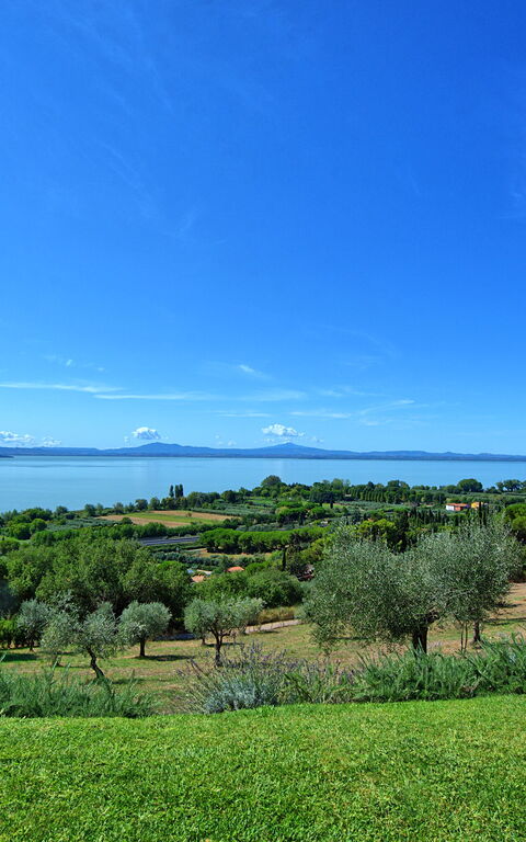 Villa Le Murate: Jardin, Vues