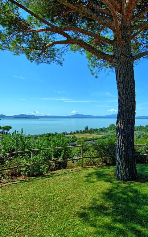 Villa Le Murate: Jardin, Vues