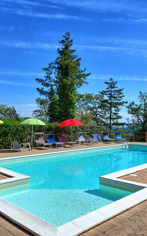 Villa Lorenzo: bassin