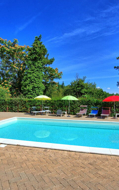 Villa Lorenzo: bassin