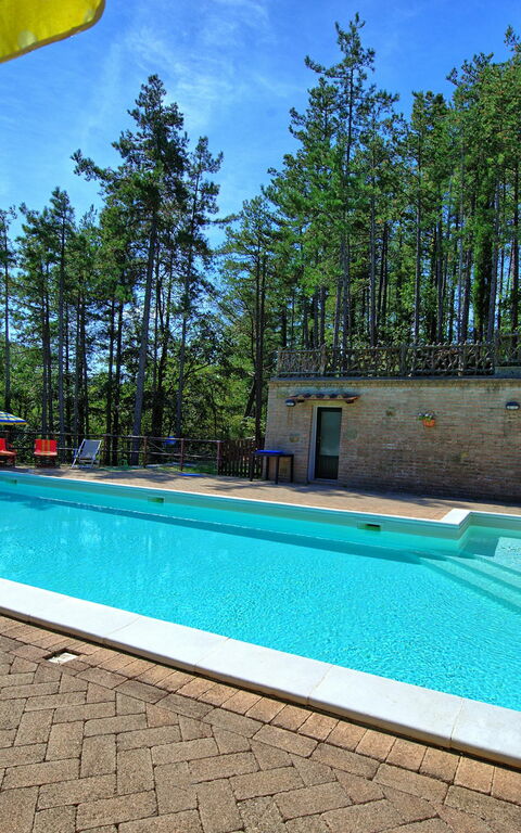 Villa Lorenzo: bassin