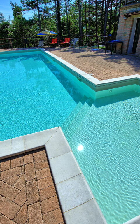 Villa Lorenzo: bassin