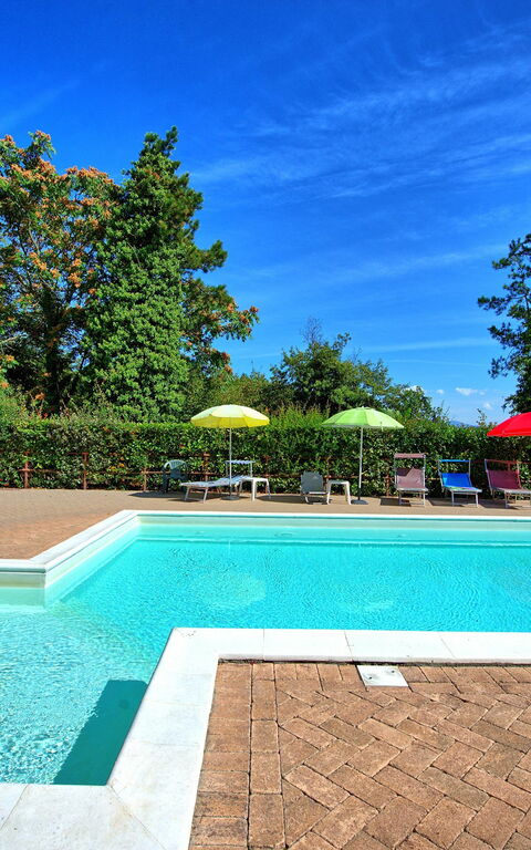 Villa Lorenzo: bassin