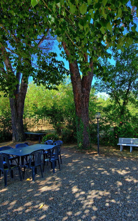 Casale Ambra: Jardin