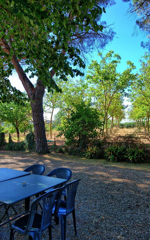 Casale Ambra: Jardin