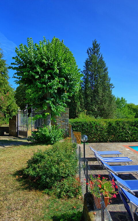 Casale Ambra: bassin