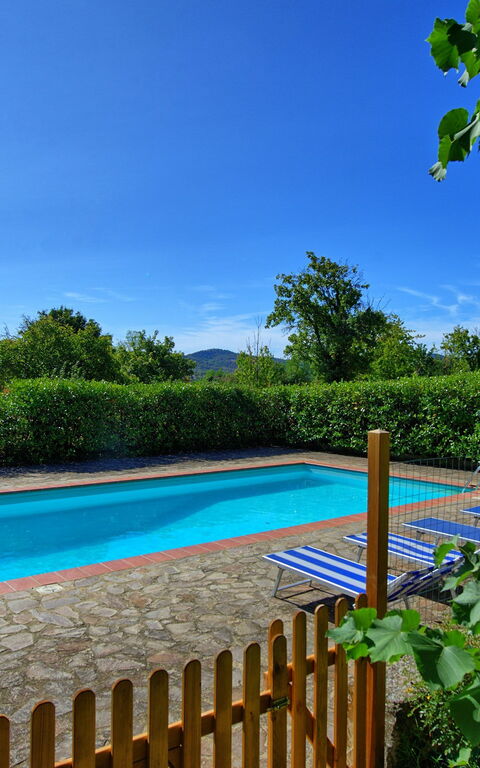 Casale Ambra: bassin