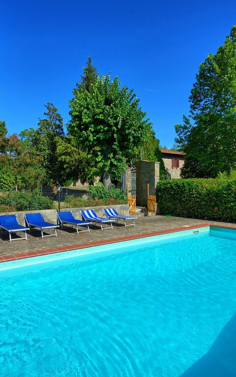 Casale Ambra: bassin