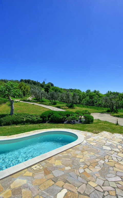 Villa Roberto: bassin, Jardin
