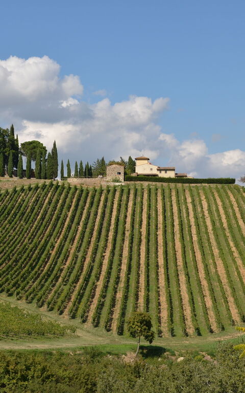Tenuta: Vues