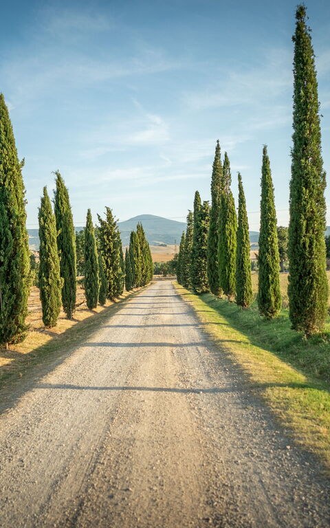 Villa Cassia: Extérieur, Vues