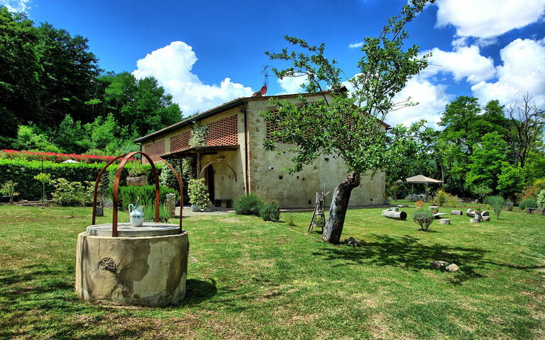Villa Diletta: Jardin