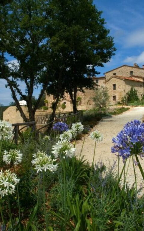 Villa Vittorio: Jardin, Vues