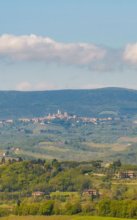 Villa Ferdinando: Extérieur