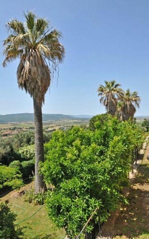 Il Principe: Extérieur, Extérieurs, Jardin